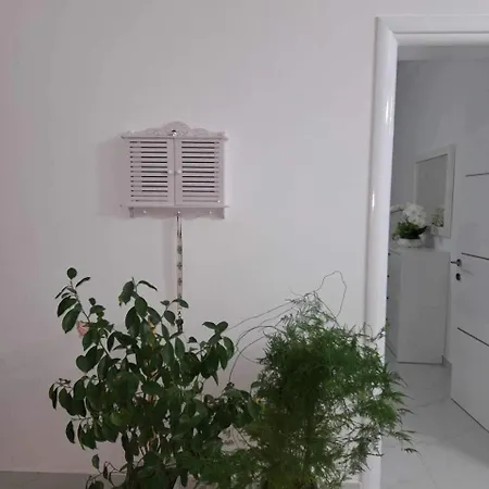 Cibuku Apartment Berat